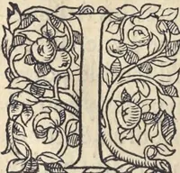 Picture 273 of 291 from L'histoire de la natvre des oyseavx : avec levrs descriptions, & naïfs portraicts retirez du natvrel, escrite en sept livres (1555), leaf 393