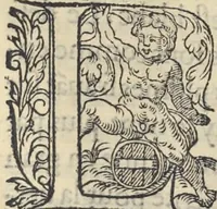 An illustration from L'histoire de la natvre des oyseavx : avec levrs descriptions, & naïfs portraicts retirez du natvrel, escrite en sept livres (1555)