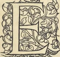 An illustration from L'histoire de la natvre des oyseavx : avec levrs descriptions, & naïfs portraicts retirez du natvrel, escrite en sept livres (1555)