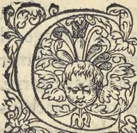 Picture 284 of 291 from L'histoire de la natvre des oyseavx : avec levrs descriptions, & naïfs portraicts retirez du natvrel, escrite en sept livres (1555), leaf 405