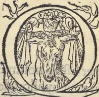 Picture 286 of 291 from L'histoire de la natvre des oyseavx : avec levrs descriptions, & naïfs portraicts retirez du natvrel, escrite en sept livres (1555), leaf 407
