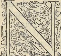 Picture 290 of 291 from L'histoire de la natvre des oyseavx : avec levrs descriptions, & naïfs portraicts retirez du natvrel, escrite en sept livres (1555), leaf 411