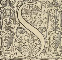 An illustration from L'histoire de la natvre des oyseavx : avec levrs descriptions, & naïfs portraicts retirez du natvrel, escrite en sept livres (1555)