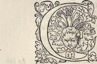 Picture 11 of 291 from L'histoire de la natvre des oyseavx : avec levrs descriptions, & naïfs portraicts retirez du natvrel, escrite en sept livres (1555), leaf 69