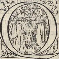 Picture 15 of 291 from L'histoire de la natvre des oyseavx : avec levrs descriptions, & naïfs portraicts retirez du natvrel, escrite en sept livres (1555), leaf 83