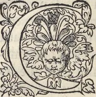 An illustration from L'histoire de la natvre des oyseavx : avec levrs descriptions, & naïfs portraicts retirez du natvrel, escrite en sept livres (1555)