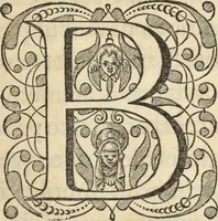 An illustration from Historia naturalis Brasiliae, : auspicio et beneficio illustriss. I. Mauritii Com. Nassau ... adornata : in qua non tantum plantæ et animalia, sed et indigenarum morbi, ingenia et mores describuntur et iconibus supra quingentas illustrantur (1648)