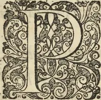 An illustration from Historia naturalis Brasiliae, : auspicio et beneficio illustriss. I. Mauritii Com. Nassau ... adornata : in qua non tantum plantæ et animalia, sed et indigenarum morbi, ingenia et mores describuntur et iconibus supra quingentas illustrantur (1648)