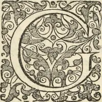 An illustration from Historia naturalis Brasiliae, : auspicio et beneficio illustriss. I. Mauritii Com. Nassau ... adornata : in qua non tantum plantæ et animalia, sed et indigenarum morbi, ingenia et mores describuntur et iconibus supra quingentas illustrantur (1648)