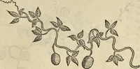 An illustration from Historia naturalis Brasiliae, : auspicio et beneficio illustriss. I. Mauritii Com. Nassau ... adornata : in qua non tantum plantæ et animalia, sed et indigenarum morbi, ingenia et mores describuntur et iconibus supra quingentas illustrantur (1648)