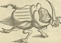Picture 385 of 397 from Historia naturalis Brasiliae, : auspicio et beneficio illustriss. I. Mauritii Com. Nassau ... adornata : in qua non tantum plantæ et animalia, sed et indigenarum morbi, ingenia et mores describuntur et iconibus supra quingentas illustrantur (1648), leaf 394