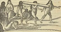 An illustration from Historia naturalis Brasiliae, : auspicio et beneficio illustriss. I. Mauritii Com. Nassau ... adornata : in qua non tantum plantæ et animalia, sed et indigenarum morbi, ingenia et mores describuntur et iconibus supra quingentas illustrantur (1648)