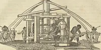 Picture 10 of 397 from Historia naturalis Brasiliae, : auspicio et beneficio illustriss. I. Mauritii Com. Nassau ... adornata : in qua non tantum plantæ et animalia, sed et indigenarum morbi, ingenia et mores describuntur et iconibus supra quingentas illustrantur (1648), leaf 67