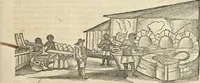 Picture 11 of 397 from Historia naturalis Brasiliae, : auspicio et beneficio illustriss. I. Mauritii Com. Nassau ... adornata : in qua non tantum plantæ et animalia, sed et indigenarum morbi, ingenia et mores describuntur et iconibus supra quingentas illustrantur (1648), leaf 68