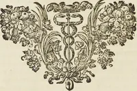 An illustration from Sculpturae veteris admiranda, sive, Delineatio vera perfectissimarum eminentissimarumque statuarum : unà cum artis hujus nobilissimae theoria ... : Carolo Ludovico, comiti Palat. Rheni ... consecrata à Joachimo de Sandrart in Stockau (1680)