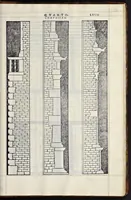 Picture 35 of 44 from Regole generali di architettvra sopra le cinqve maniere de gliedifici : cioè, thoscano, dorico, ionico, corinthio, e composito, con gliessempi de l'antiqvita, che per la maggior parte concordano con la dottrina di Vitrvvio (1540), leaf 132