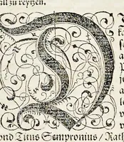 Picture 26 of 40 from Von Ankunfft vnnd Vrsprung des Römischen Reichs : der alten Römer Herkommen, Sitten, Weissheyt, Ehrbarkeyt, löblichem Regiment, Ritterlichen Thaten, Victori vnnd Sig gegen ihren Feinden : auch von allerley Händeln vñ Geschichten, so sich in Frid vnd Krieg, zu Rom, in Italia, vnd bei andern Nationen, damit die Römer jeder Zeit zu thuen gehabt, fast jnnerhalb achthundert Jaren, von Erbawung der Statt an, erstlich vnter der Könige vnnd volgends vnter der Rathesmaister Regiment, biss auff der ersten Römischen Keyser Regierung verloffen vnd zugetragen : jetzund auff dass newe auss dem Latein verteutscht, vnd mit ordenlicher Verzeychniss der fürnemsten Historien, Jarrechnung, kurtzer Liuischen Chronica, Register, vnd schönen Figuren geziert, dessgleichen vor hin im Truck nie aussgangen (1574), leaf 482
