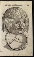 An illustration from Des aller fürtrefflichsten, höchsten vnnd adelichsten Gschöpffs aller Creaturen von Got dem Herren, Schöpffer aller Ding auff Erden, erschaffen : das ist, des Menschen (oder dein selbst) warhafftige Beschreibung, oder, Anatomi seines wunderbarlichen Vrsprungs ... (1541)