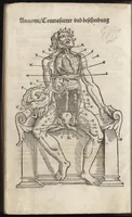 An illustration from Des aller fürtrefflichsten, höchsten vnnd adelichsten Gschöpffs aller Creaturen von Got dem Herren, Schöpffer aller Ding auff Erden, erschaffen : das ist, des Menschen (oder dein selbst) warhafftige Beschreibung, oder, Anatomi seines wunderbarlichen Vrsprungs ... (1541)