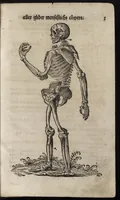 An illustration from Des aller fürtrefflichsten, höchsten vnnd adelichsten Gschöpffs aller Creaturen von Got dem Herren, Schöpffer aller Ding auff Erden, erschaffen : das ist, des Menschen (oder dein selbst) warhafftige Beschreibung, oder, Anatomi seines wunderbarlichen Vrsprungs ... (1541)