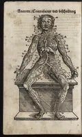 An illustration from Des aller fürtrefflichsten, höchsten vnnd adelichsten Gschöpffs aller Creaturen von Got dem Herren, Schöpffer aller Ding auff Erden, erschaffen : das ist, des Menschen (oder dein selbst) warhafftige Beschreibung, oder, Anatomi seines wunderbarlichen Vrsprungs ... (1541)
