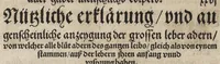 An illustration from Des aller fürtrefflichsten, höchsten vnnd adelichsten Gschöpffs aller Creaturen von Got dem Herren, Schöpffer aller Ding auff Erden, erschaffen : das ist, des Menschen (oder dein selbst) warhafftige Beschreibung, oder, Anatomi seines wunderbarlichen Vrsprungs ... (1541)