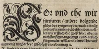 An illustration from Des aller fürtrefflichsten, höchsten vnnd adelichsten Gschöpffs aller Creaturen von Got dem Herren, Schöpffer aller Ding auff Erden, erschaffen : das ist, des Menschen (oder dein selbst) warhafftige Beschreibung, oder, Anatomi seines wunderbarlichen Vrsprungs ... (1541)