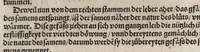 An illustration from Des aller fürtrefflichsten, höchsten vnnd adelichsten Gschöpffs aller Creaturen von Got dem Herren, Schöpffer aller Ding auff Erden, erschaffen : das ist, des Menschen (oder dein selbst) warhafftige Beschreibung, oder, Anatomi seines wunderbarlichen Vrsprungs ... (1541)
