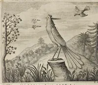 An illustration from Athanasii Kircheri e Soc. Jesu China monumentis, quà sacris quà profanis, nec non variis naturae & artis spectaculis, aliarumque rerum memorabilium argumentis illustrata, auspiciis Leopoldi Primi roman. imper (1667)