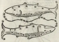Picture 19 of 25 from Iulii Firmici Astronomicorum libri octo integri & emendati, ex Scythicis oris ad nos nuper allati. Marci Manilii Astronomicorum libri quinque. Arati Phaenomena Germanico Caesare interprete cum commentariis & imaginibus. Arati eiusdem Phaenomenon fragmentum Marco T.C. interprete. Arati eiusdem Phaenomena Ruffo Festo Auienio paraphraste. Arati Phaenomena graece. Theonis Commentaria copiosissima in Arati Phaenomena graece. Procli Diadochi Sphaera graece. Procli eiusdem Sphaera, Thoma Linacro Britanno interprete (1503), leaf 518