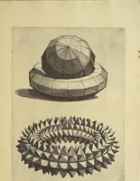 An illustration from La pratica di prospettiva (1596)