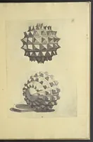 An illustration from La pratica di prospettiva (1596)
