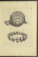 An illustration from La pratica di prospettiva (1596)