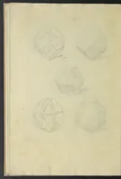 An illustration from La pratica di prospettiva (1596)