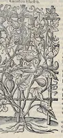 An illustration from Stirpium historiae pemptades sex sive libri XXX (1583)
