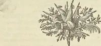 An illustration from Monumens érigés en France à la gloire de Louis XV : précédés d'un tableau du progrès des arts & des sciences sous ce règne, ainsi que d'une description des honneurs & des monumens de gloire accordés aux grands hommes, tant chez les anciens que chez les modernes : et suivis d'un choix des principaux projets qui ont été proposés, pour placer la statue du roi dans les différens quartiers de Paris (1767)