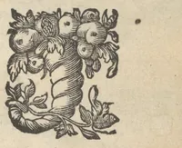 An illustration from Flammulae amoris, S.P. Augustini versibus et iconibus exornatae (1629)