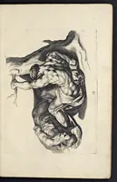 An illustration from Varie figure academiche : nouamente raccolte dal naturale con grandissima fatica e spesa, molto commode per la giouentu, la quaele si diletta dal arte dal disegno : messe in luce da I.A. de Poutre, d'Anuersa = Diuersche figuren wt de academia : nu eerst by een vergadert naert leuen, met groote moyte en oncost, seer bequaem voor alle iongelingen die hen oefenen in de teeken-const : int licht gebrocht door Ioan. A. de Poutre, plaetsnyder van Antwerpen (1629)