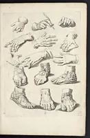 Picture 2 of 16 from Varie figure academiche : nouamente raccolte dal naturale con grandissima fatica e spesa, molto commode per la giouentu, la quaele si diletta dal arte dal disegno : messe in luce da I.A. de Poutre, d'Anuersa = Diuersche figuren wt de academia : nu eerst by een vergadert naert leuen, met groote moyte en oncost, seer bequaem voor alle iongelingen die hen oefenen in de teeken-const : int licht gebrocht door Ioan. A. de Poutre, plaetsnyder van Antwerpen (1629), leaf 8