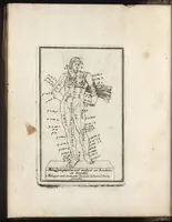 Picture 3 of 12 from Reprentation [sic] des diverses figures humaines avec leurs mesures prises sur des antiques = Eigentliche Vorstellung und Proportionen menschlicher Leibes nach dem gerechten Mass der Antiquen (1700), leaf 15