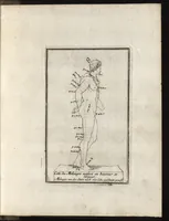 Picture 4 of 12 from Reprentation [sic] des diverses figures humaines avec leurs mesures prises sur des antiques = Eigentliche Vorstellung und Proportionen menschlicher Leibes nach dem gerechten Mass der Antiquen (1700), leaf 16
