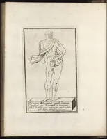 Picture 5 of 12 from Reprentation [sic] des diverses figures humaines avec leurs mesures prises sur des antiques = Eigentliche Vorstellung und Proportionen menschlicher Leibes nach dem gerechten Mass der Antiquen (1700), leaf 19