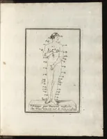 Picture 7 of 12 from Reprentation [sic] des diverses figures humaines avec leurs mesures prises sur des antiques = Eigentliche Vorstellung und Proportionen menschlicher Leibes nach dem gerechten Mass der Antiquen (1700), leaf 28
