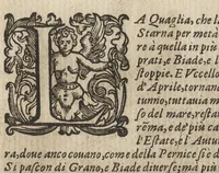 An illustration from Vccelliera, ouero, Discorso della natura, e proprieta di diuersi vccelli : e in particolare di que' che cantano, con il modo di prendergli, conoscergli, alleuargli, e mantenergli : e con le figure cauate dal vero, e diligentem[en]te intagliate in rame dal Tempesta, e dal Villamena (1684)