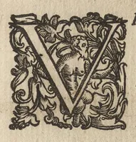 An illustration from Vccelliera, ouero, Discorso della natura, e proprieta di diuersi vccelli : e in particolare di que' che cantano, con il modo di prendergli, conoscergli, alleuargli, e mantenergli : e con le figure cauate dal vero, e diligentem[en]te intagliate in rame dal Tempesta, e dal Villamena (1684)