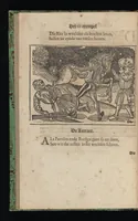 Picture 12 of 16 from Aff-ghebeelde narren speel-schuyt, verciert met meer als hondert schoone figueren nae den aert van veelderley sotten die op aerden zijn: bewesen met stichtelijcke exempelen, soo uyt de H. Schrift als oock uyt de kerckelijcke oudt-vaders ende andere schrijvers... Beschreven int Latijn ende Hooch-Duytsch (1635), leaf 159