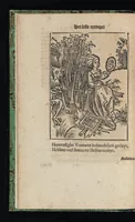 An illustration from Aff-ghebeelde narren speel-schuyt, verciert met meer als hondert schoone figueren nae den aert van veelderley sotten die op aerden zijn: bewesen met stichtelijcke exempelen, soo uyt de H. Schrift als oock uyt de kerckelijcke oudt-vaders ende andere schrijvers... Beschreven int Latijn ende Hooch-Duytsch (1635)