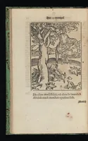 Picture 8 of 16 from Aff-ghebeelde narren speel-schuyt, verciert met meer als hondert schoone figueren nae den aert van veelderley sotten die op aerden zijn: bewesen met stichtelijcke exempelen, soo uyt de H. Schrift als oock uyt de kerckelijcke oudt-vaders ende andere schrijvers... Beschreven int Latijn ende Hooch-Duytsch (1635), leaf 93