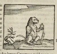 Picture 10 of 63 from Les hieroglyphiques de Ian-Pierre Valerian, vulgairement nommé Pierius. Autrement, commentaires des lettres et figures sacrées des Aegyptiens & autres nations. Oeuure reduicte en cinquante huict liures, ausquels sont adjoincts deux autres (1615), leaf 113