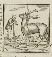 Picture 11 of 63 from Les hieroglyphiques de Ian-Pierre Valerian, vulgairement nommé Pierius. Autrement, commentaires des lettres et figures sacrées des Aegyptiens & autres nations. Oeuure reduicte en cinquante huict liures, ausquels sont adjoincts deux autres (1615), leaf 121